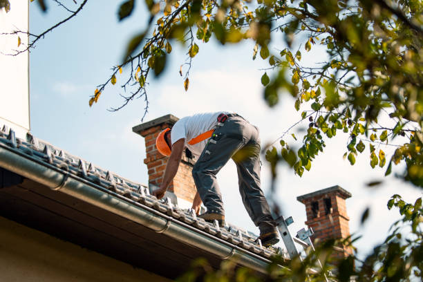 Best Local Roofing Companies  in Mount Gilead, NC