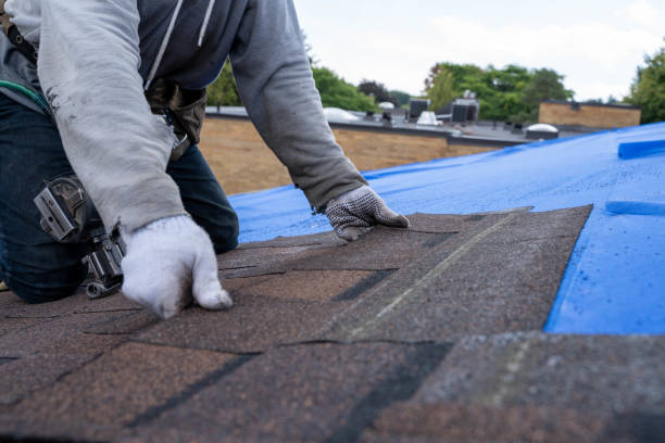Best Residential Roof Replacement  in Mount Gilead, NC